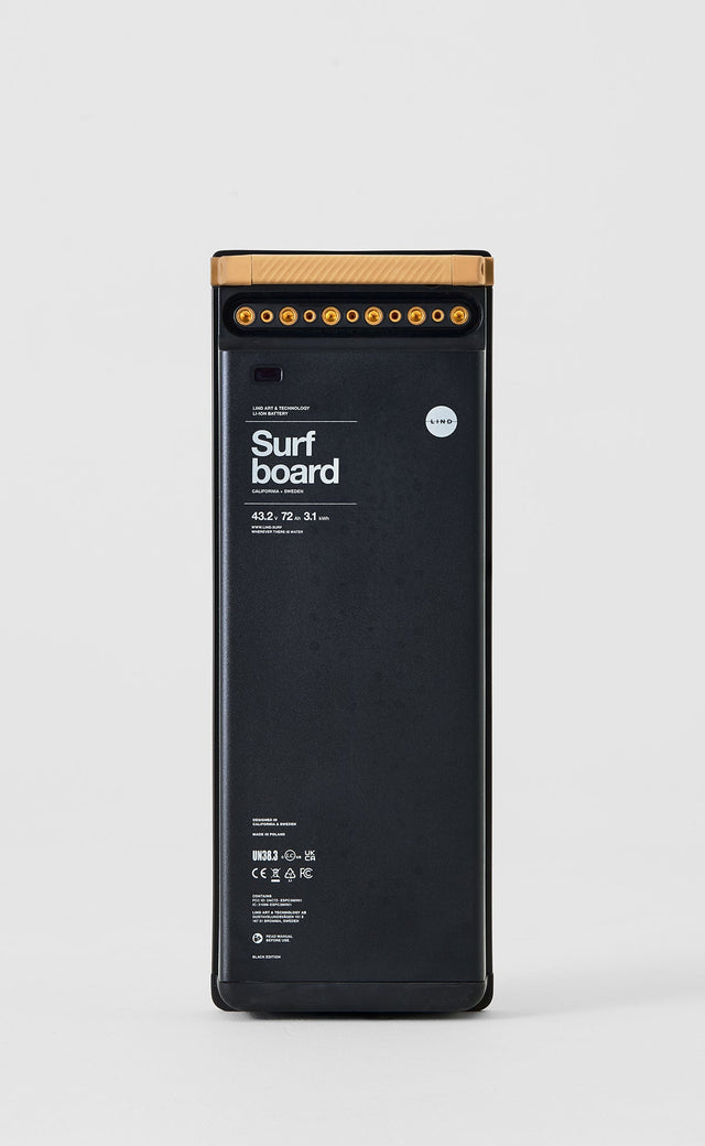 LIND Canvas Electric Surfboard